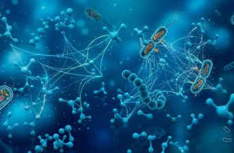 Бактерии и антибиотики: почему наука ищет новые решения